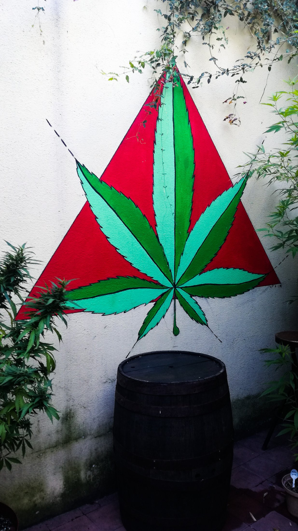 Montevideo - Musée du Cannabis