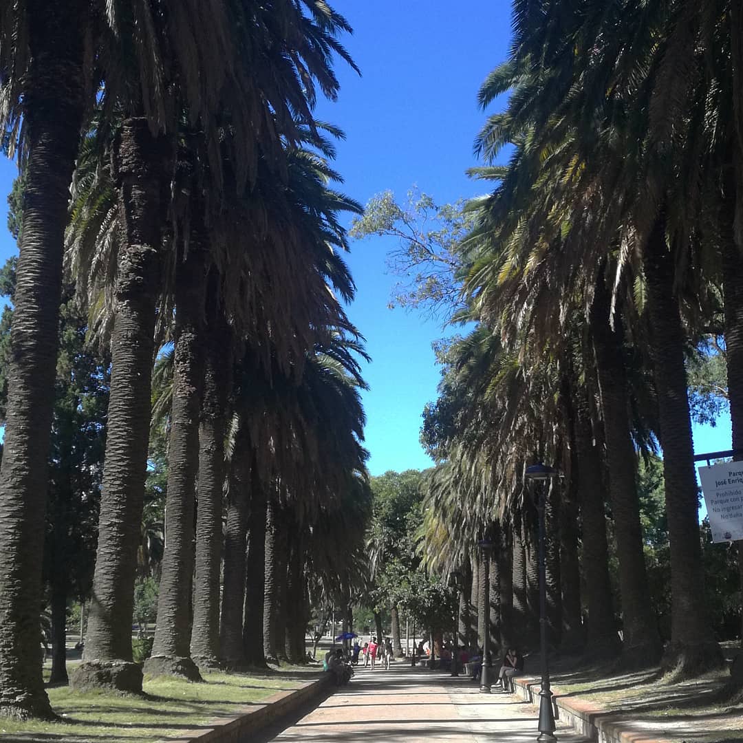 Montevideo - Parque Rodo 2